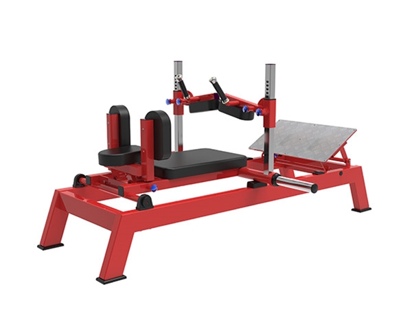 SH86 Hip trainer B