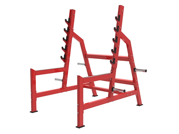 SH31  Olympic super rack