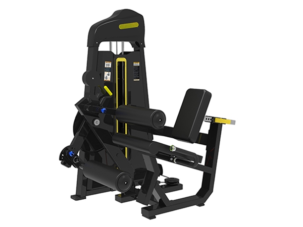 PX-1060  Leg Extension & Leg Curl