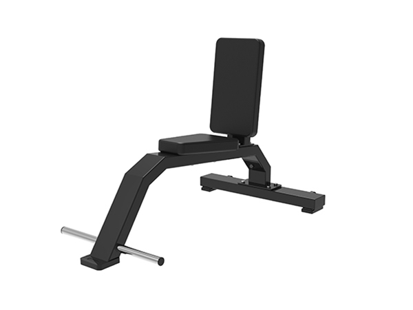 PX-1030  Multi-Purpose Bench