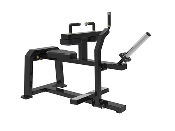 PX-1046  Seated Calf