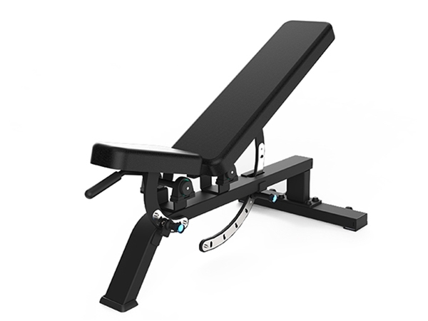 DM.4042 Adjustable Bench